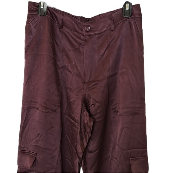 NWT Young Fabulous & Broke Findlay Satin Cargo Carpenter Pants in Raisin - M - Picture 6 of 16